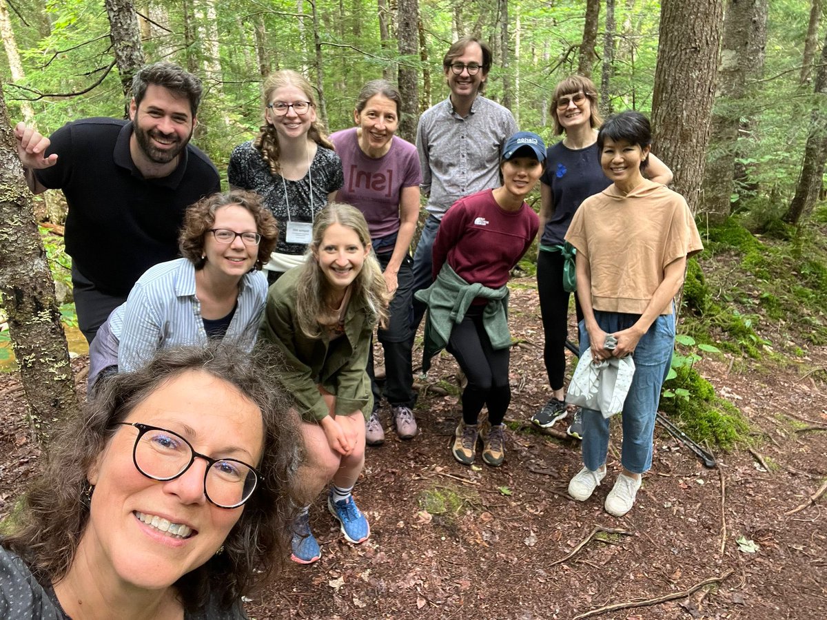 Christos Lisgaras, MSc, PhD tweet media