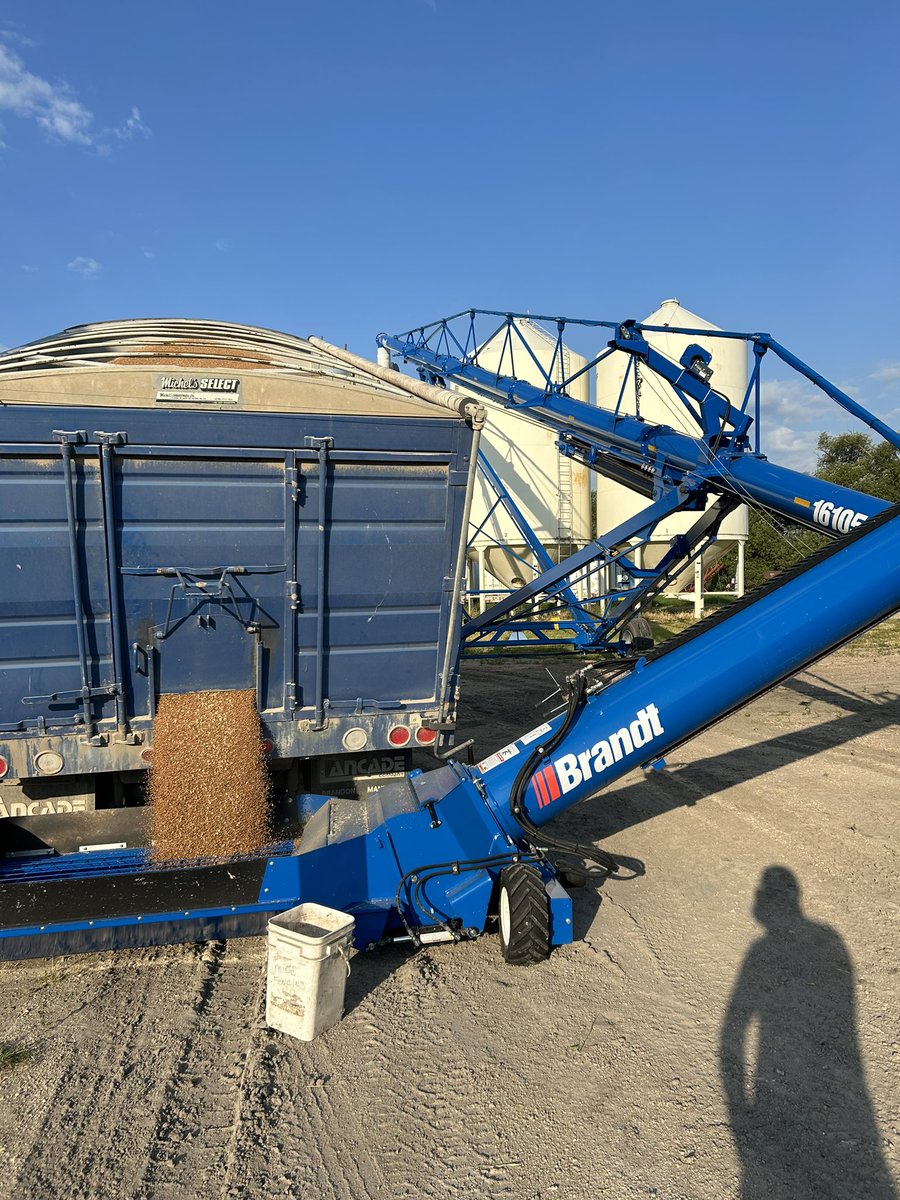 GraemeHore's tweet photo. Wrap up the wheat today! https://t.co/wqPYrvDeFt