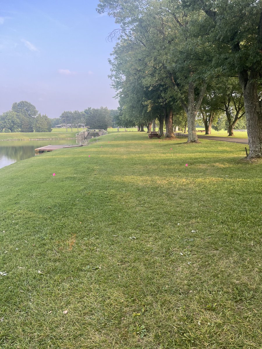 Buckeye Running Company tweet media