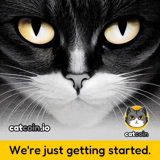 ThothHorus911's tweet photo. @officialcatcoin https://t.co/p05nv8B0J9