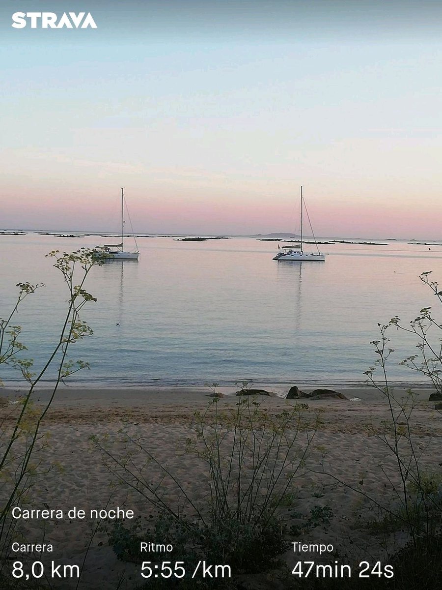 neumaticosjorge's tweet image. #KMSxELA
@RetoDravet
@ReyLoborebelion strava.app.link/g8sdIIMzfMb