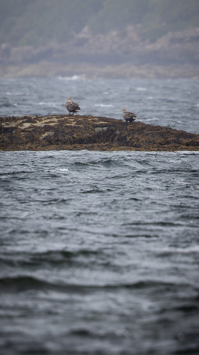 this could be us 👉👈