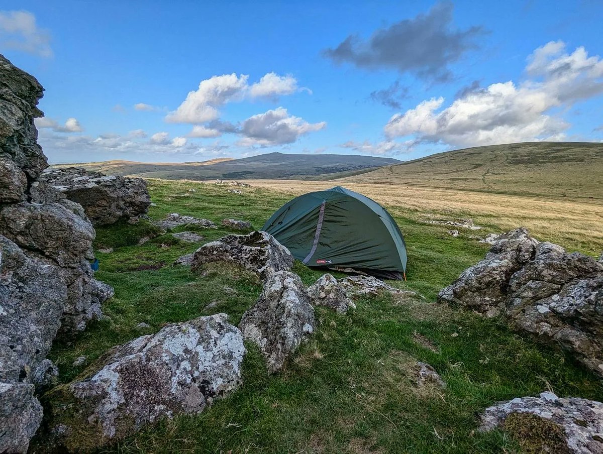 Rebecca Spence tweet media