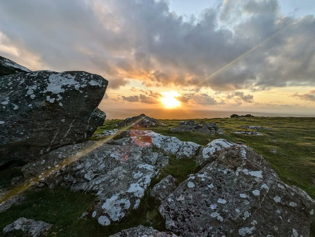 Rebecca Spence tweet media