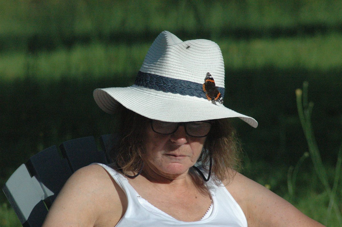 levisart's tweet photo. all the way from #westcork to paint  in France with the aid today  of a butterfly sitting on my sun hat @SouthernStarIRL @westcorkpeople https://t.co/W1ypaQCNsP