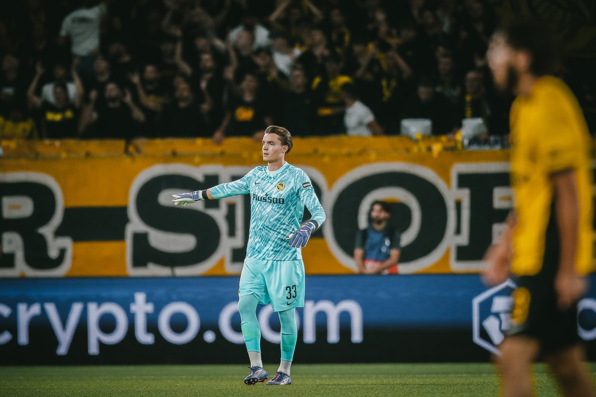 BSC YOUNG BOYS tweet media