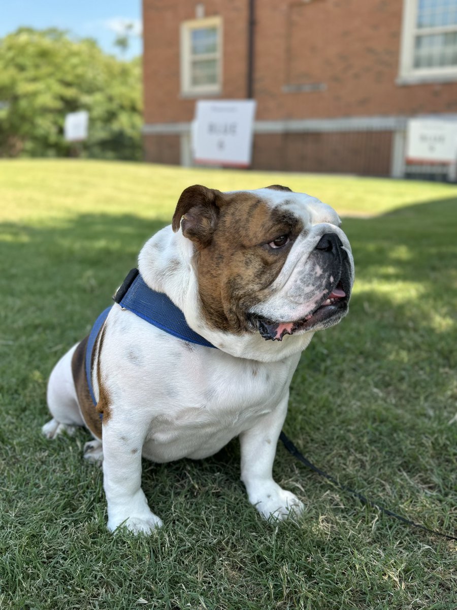 My favorite week!! Welcome back <a href="/SamfordU/">Samford University</a>!! <a href="/ChooseSamford/">Samford University Admission</a> <a href="/SamfordSports/">Samford Sports</a> <a href="/SamfordParents/">SamfordParents</a>