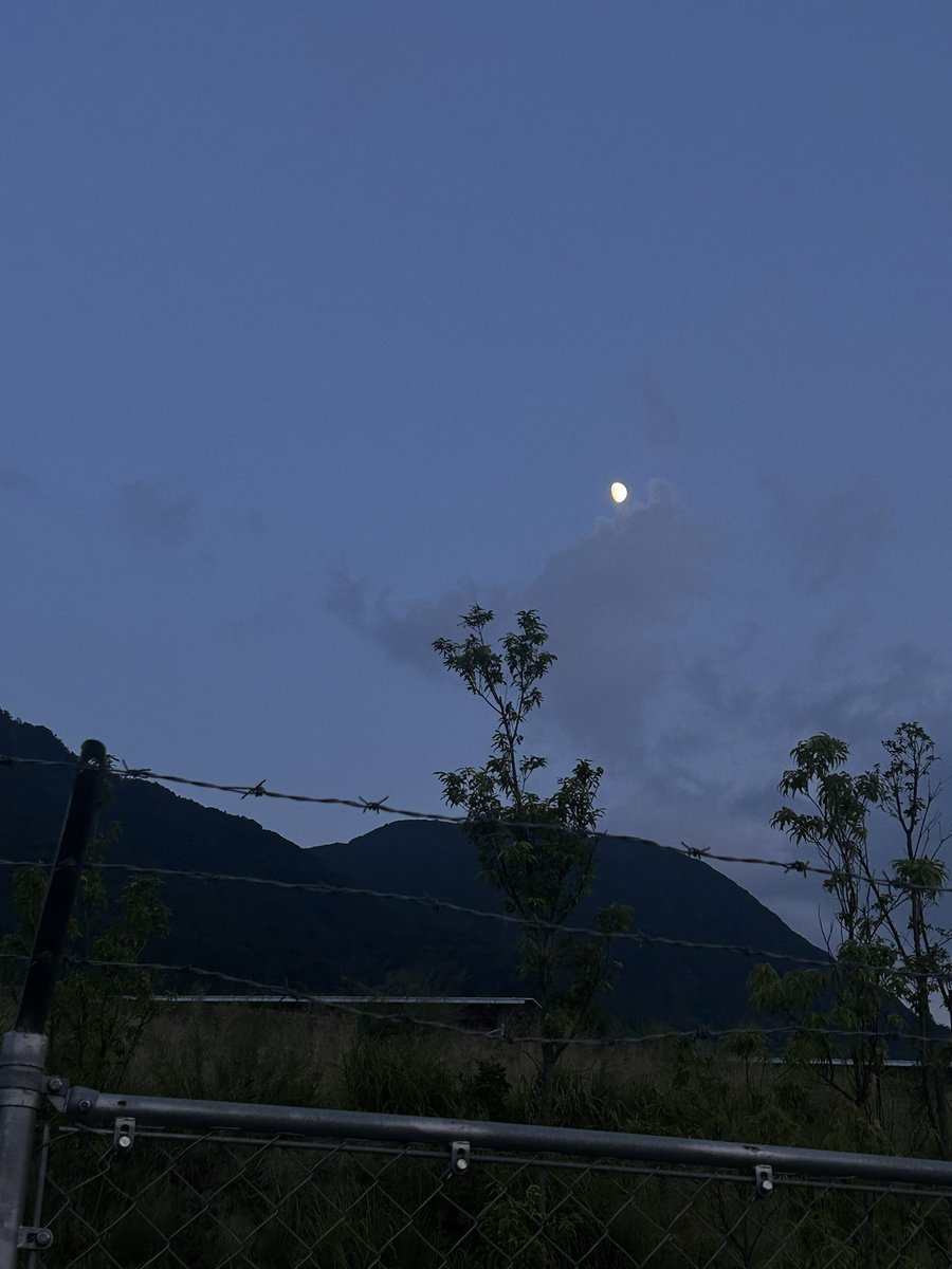 beeJr12's tweet photo. 地震の頭痛が酷い

頭が割れるよう

このタイプの頭痛はお薬飲んでも効かない

最近は世界中で火山活動も活発

場所や時間は分からないのに何の意味があるんだろう

出来る範囲で皆様

気をつけましょうとしか言えない

#地震頭痛　#火山活動 https://t.co/k2Guujonuk