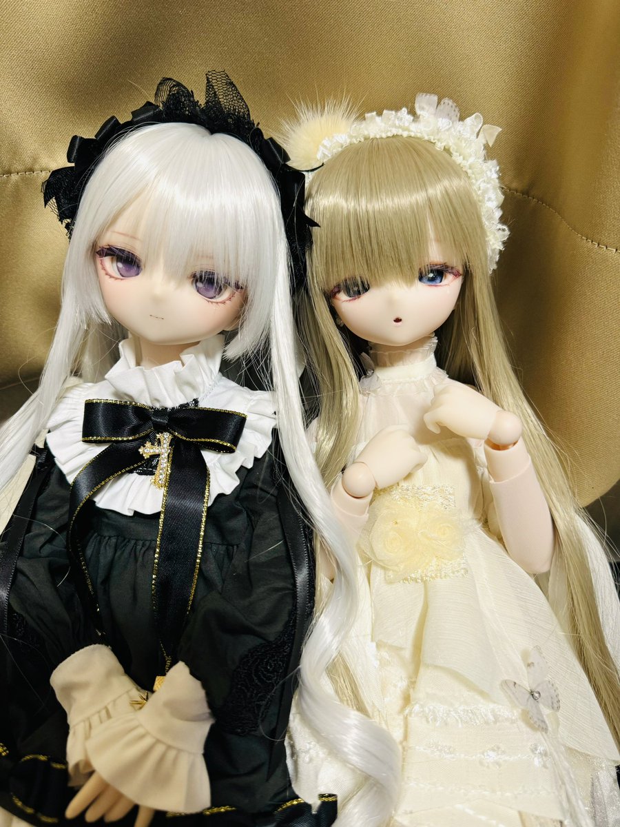 ほわほわとキリッとした子🥰
クレアちゃんの色とカーテンの色同化しちゃったからまた別のとこで撮りたい🥲

#こざくらっこ