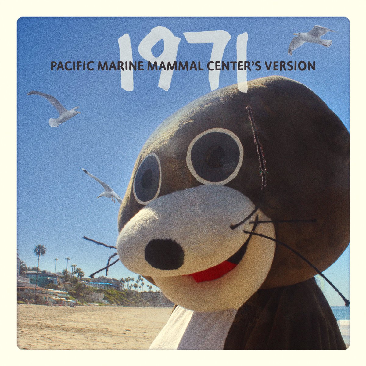 Pacific Marine Mammal Center tweet media