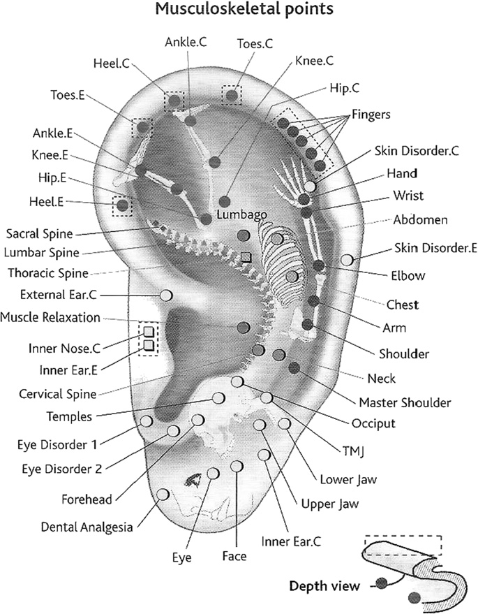 In Eastern Medicine, your entire body can be treated through your ears. This practice is known as auricular therapy. Make it a part of your daily routine to take your hands, one on each ear and massage out the entire ear.

Then, gently fold your cartilage over itself in many