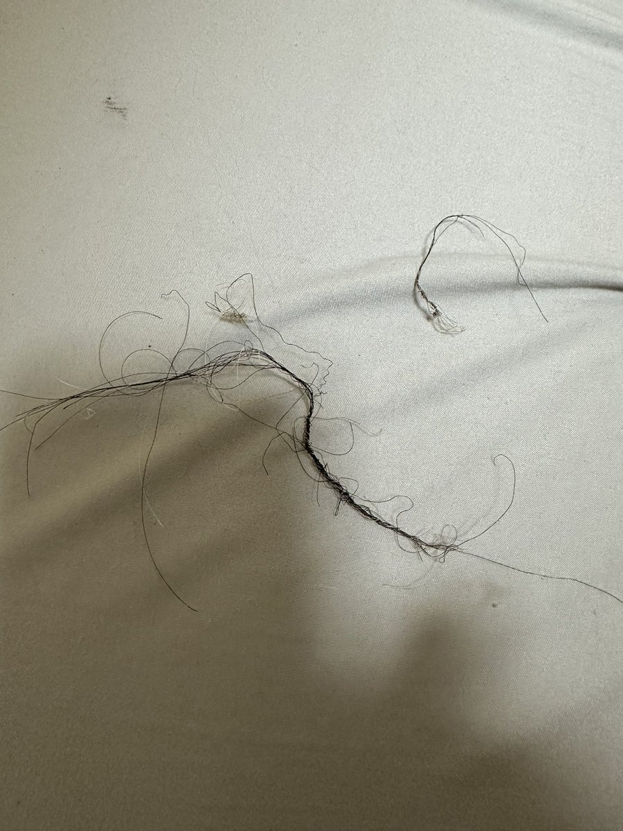 ドライヤーに巻き込まれて大事なとこの毛死亡確認