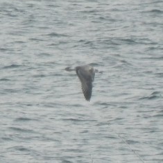 Stephen Addinall tweet media