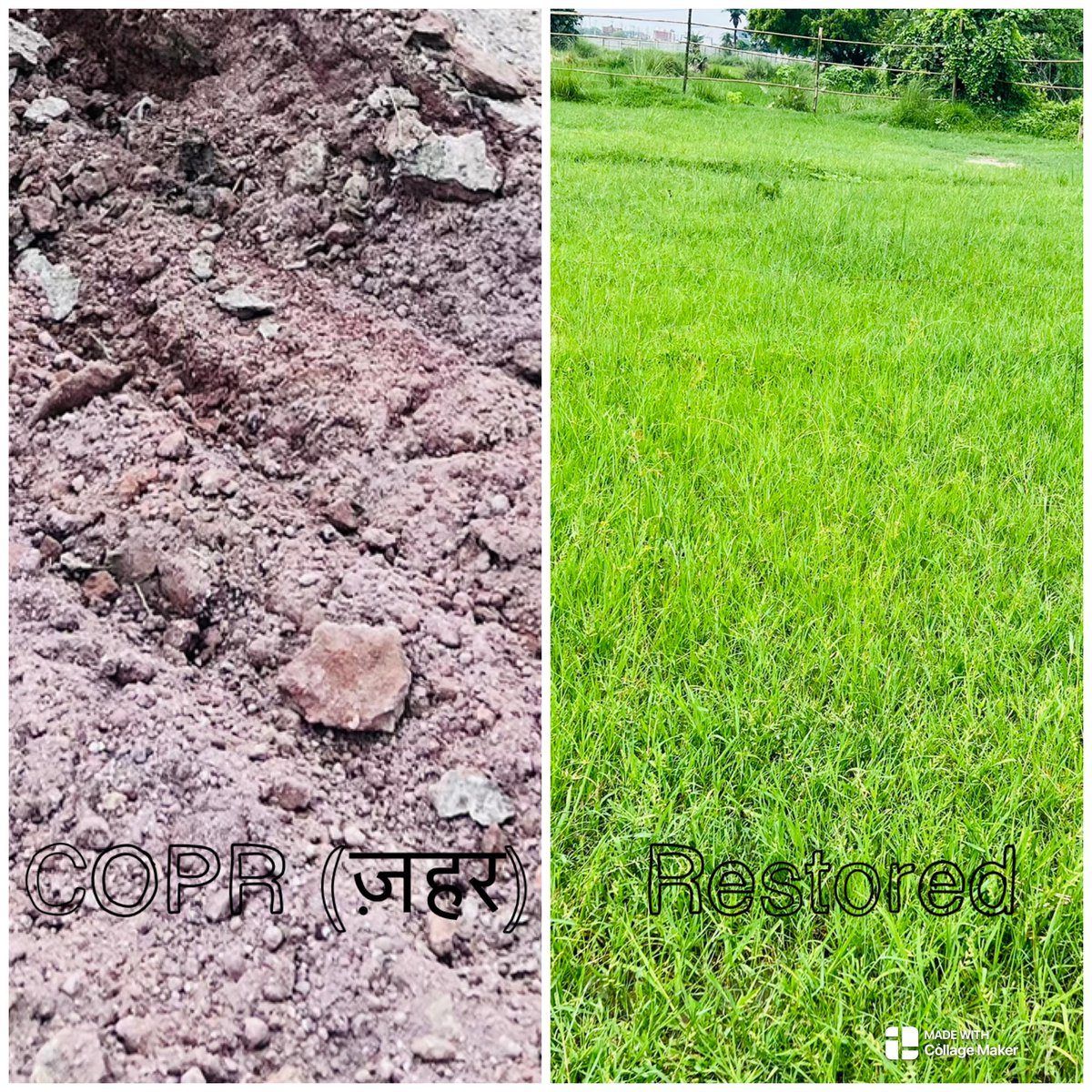 Pankajkumarpsc's tweet image. 🌿Thrilled to showcase our Chromium contaminated site restoration works at Rania-Khan Chandpur, Kanpur, India🌍
We’re exploring innovative ways to restore and protect soil-groundwater systems🌱Funded by the ANRF @IndiaDST at @iitdelhi
@syahindia @IndHydrogeology @groundwaterproj