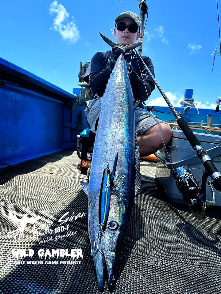 青鸞180F 台湾🇹🇼PTAD様オリジナルカラー✨ #青鸞180F #セイラン