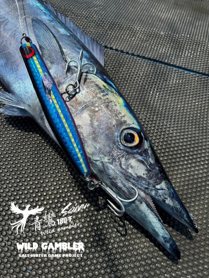 青鸞180F 台湾🇹🇼PTAD様オリジナルカラー✨ #青鸞180F #セイラン