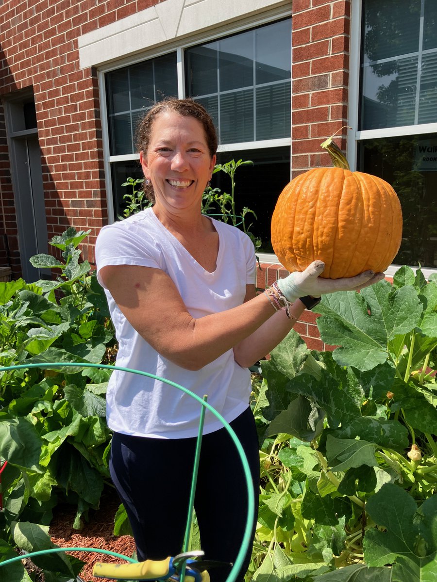 It's pumpkin season, Labs! Look what Mrs. Marple found in our <a href="/LCPSLegacy/">Legacy Elementary</a> garden!!