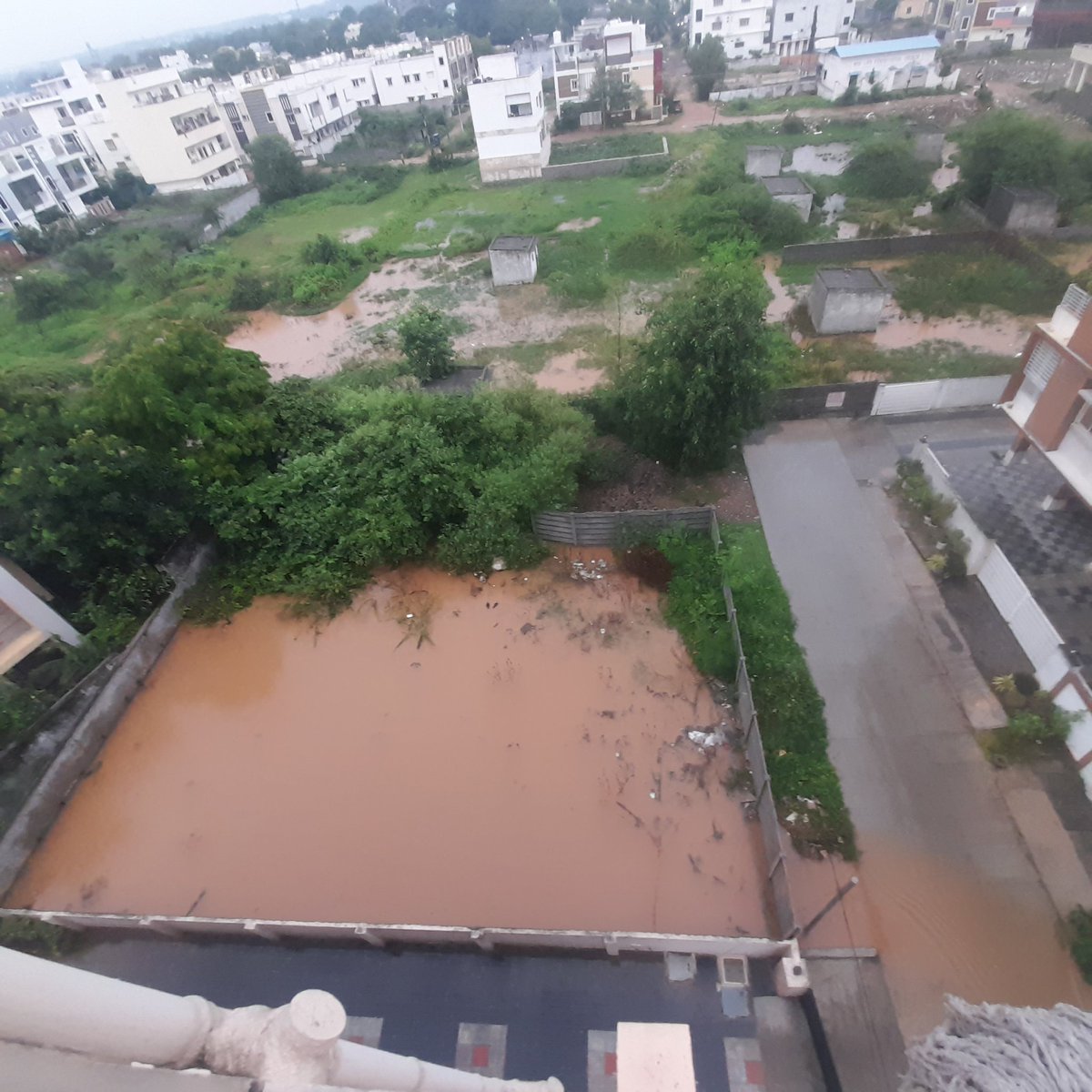 ☯️Tweet Shark♋️ tweet media