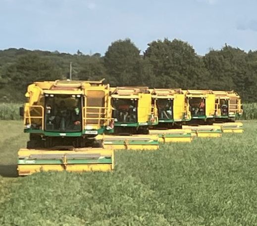 That’s it for 2024!  A massive thank you to all involved including our 🫛growers, it’s been full on this season but we have now finished the job some 62 days later! Big shoutout to our haulier <a href="/CJCLeeLtd/">CJCLee (Saxthorpe) Ltd</a> <a href="/MartinFMiller/">Martin Miller</a> <a href="/DGHARVESTERS/">Duncan Griffin</a> 
And of course all our drivers!! 💪🏻🫛👏👏🫛😃