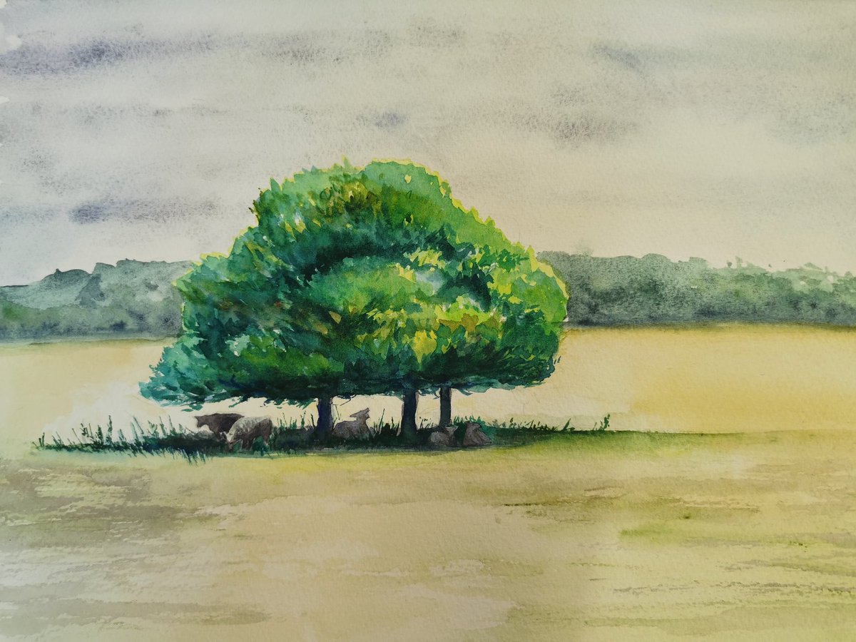 Helen Davison (@helsartandsci) on Twitter photo 