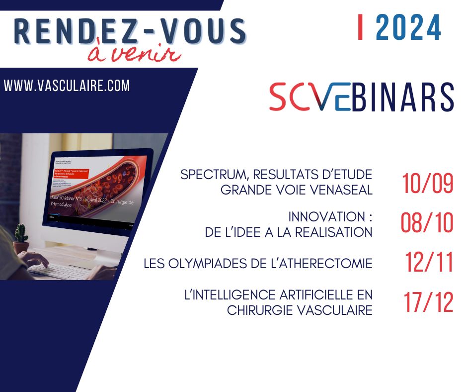 SCVE_fr's tweet image. A vos agendas ! Les webinars sont de retour !