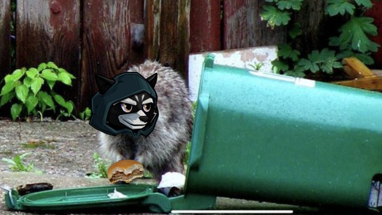 Mcdonald's Insta got hacked. 🤣🦝

Promise I'm only guilty of snatching a leftover McDouble.
