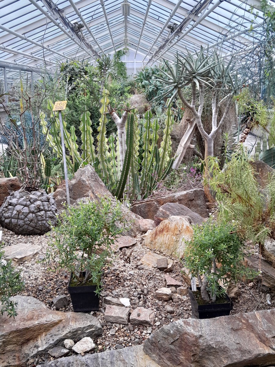 toulouse81677's tweet photo. #Botanischer #Garten #München https://t.co/VMdvFfjKBK