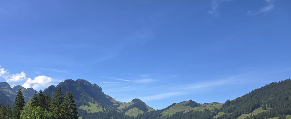 Matravers CCF tweet media