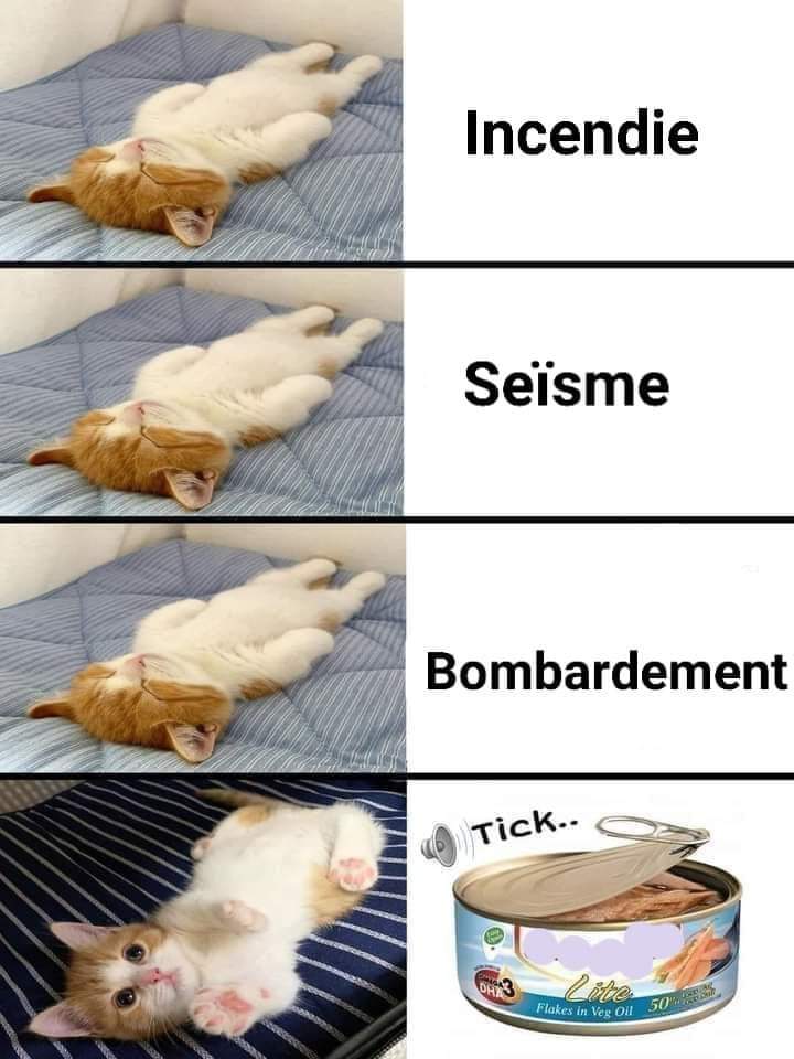 florent_fillon's tweet image. #TeamChat 😁