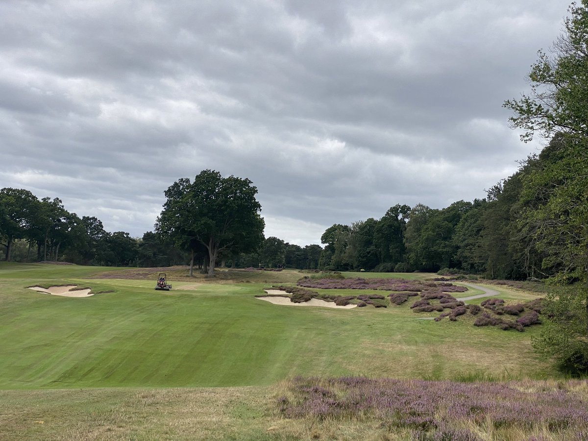 plestee's tweet image. Day 3 of Maintenance Week and the Graden work is in full flow.  2mm blade to a depth of -20mm. So far, 11 greens have been completed, with an additional sand top-up on the back 9. We've also started dressing the aprons. Great work by #TeamStoneham! #MoreSand #ThanksCraig