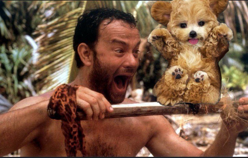 HugglesSOL's tweet photo. @mrsolana69 $Huggles is on the way soon! #huggles https://t.co/7oqtYa8gKZ