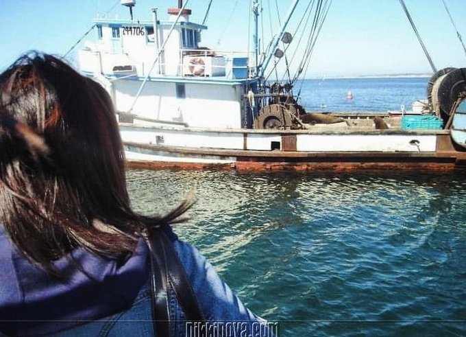 A peaceful #WaybackWednesday post, to help balance the chaotic energy. I was whale watching in Monterey<a href="/tag/waybackwednesday"class="tags">#WaybackWednesday</a>