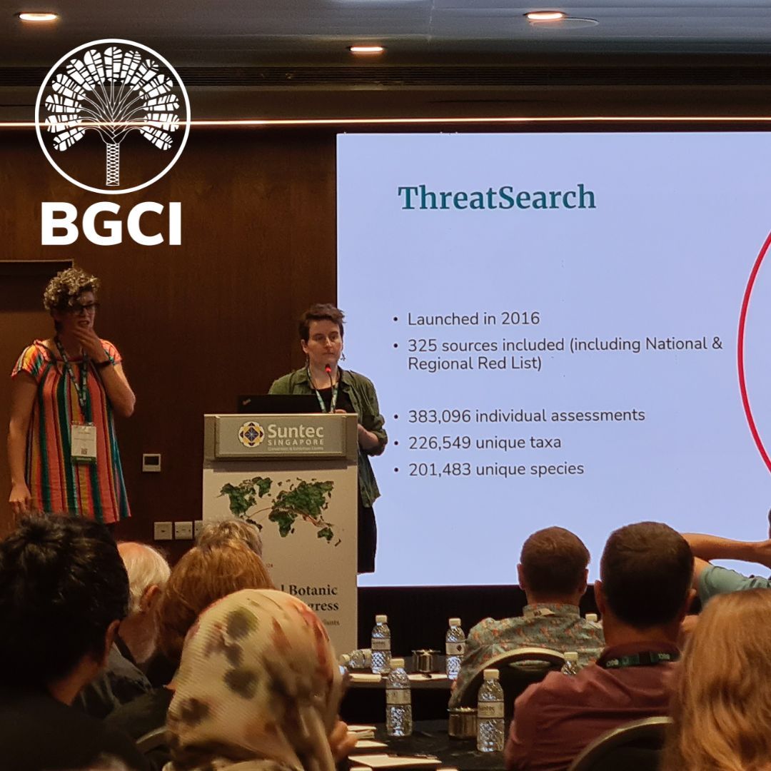 bgci's tweet photo. Along with many inspirational talks at #8GBGC, there was also a number of useful workshops. One that was particularly well attended was this session titled 'BGCI’s Data Tools: Promoting effective, coordinated conservation action for plants'. 
#ConservationData #PlantConservation https://t.co/Rr2ignC4hR