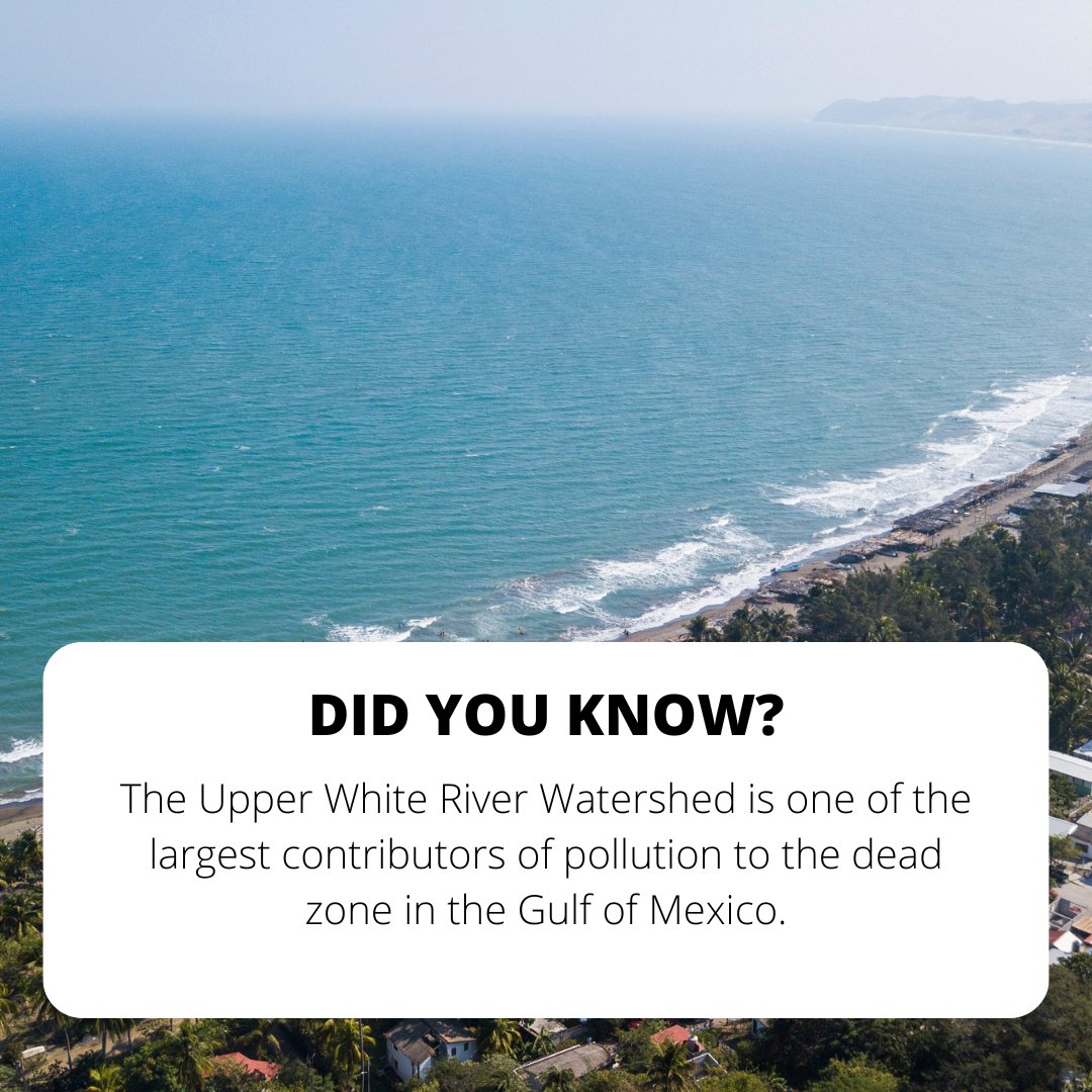 Every summer, a low-oxygen area develops off the Texas-Louisiana shelf where nutrient-laden water flows in from the Mississippi River. A huge portion of these nutrients like Phosphorous are from runoff into our rivers and waterways of things like fertilizer.