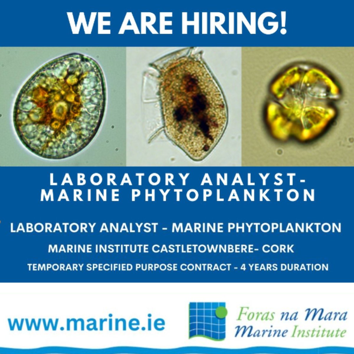 MarineInst's tweet image. 🥼CALLING ALL LAB ANALYSTS

We are seeking a phytoplankton #LabAnalyst to work with the #Shellfish Safety Unit Team based in Castletownbere, Co. Cork.

📅The closing date is Thursday, 5th Sept @12pm.

Full job description ➡️bit.ly/3WFOk7T

#Marine #Lab #Phytoplankton