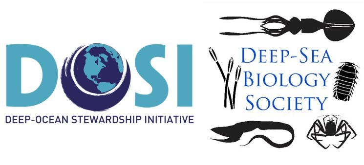 DeepStewardship's tweet photo. 🚨 It is the final week all for submissions to Deep-Sea Life issue 23! 
🙌 Share your latest deep-ocean research and events with DOSI and @DSBSoc. 
📆 Submission deadline: August 23, 2024. 
🌊 https://t.co/dkXWfQ0pTo
#DeepSea #DeepSeaCommunity https://t.co/UqfRqfaaRo