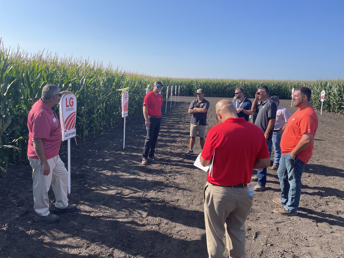 DMagronLG's tweet photo. LG SEEDS INNOVATION DAY at Champaign, Il yesterday.Perfect weather for an August field day! https://t.co/9HCvU5P4Av
