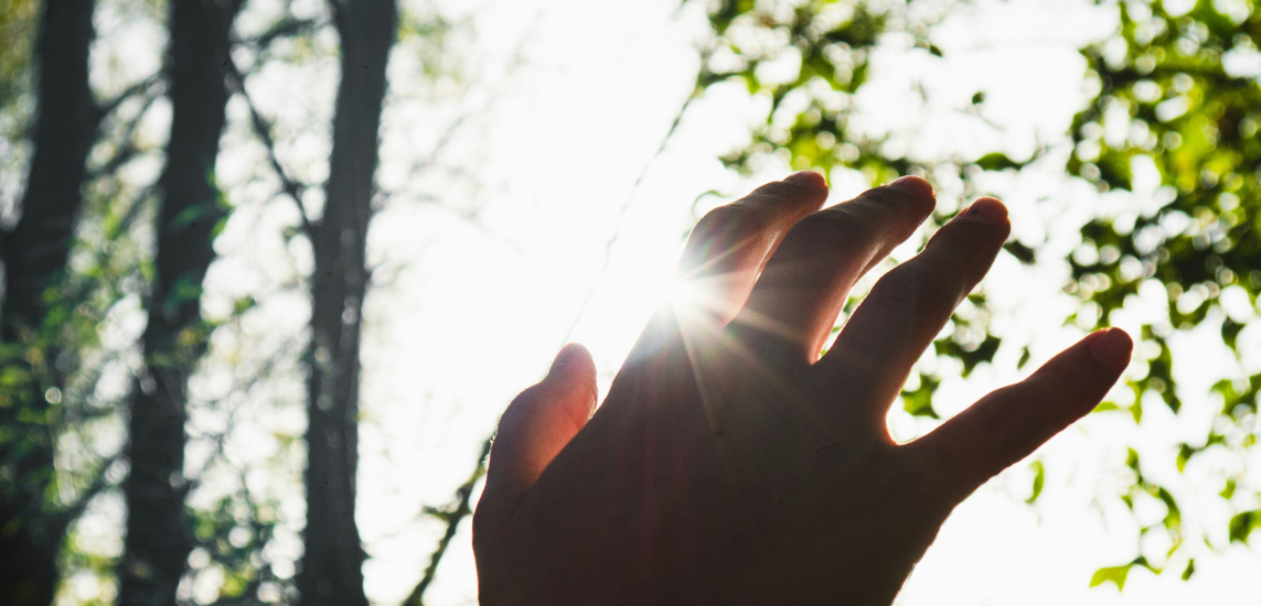 Wellness Carolinas tweet media