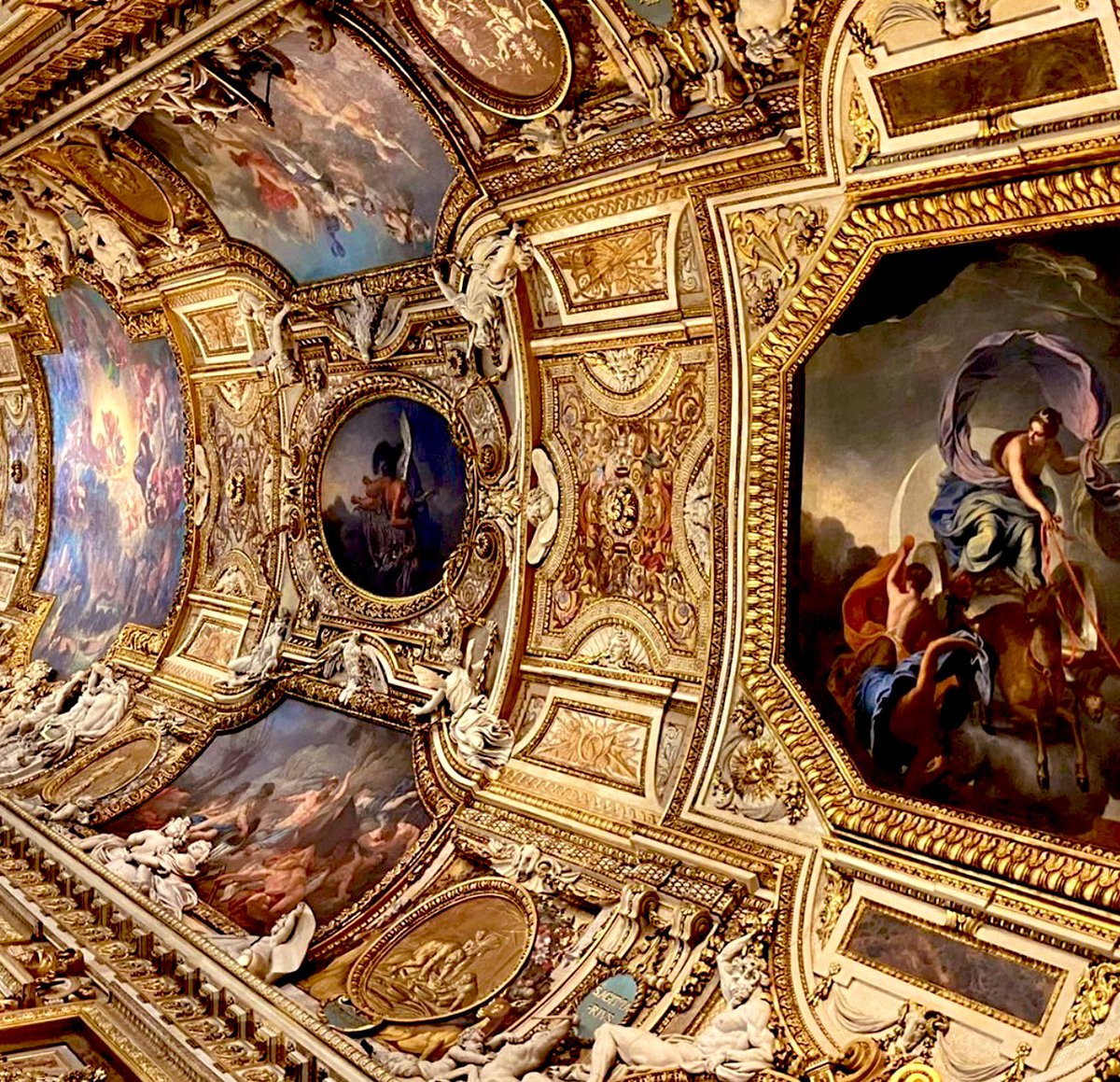 Elena🌸 tweet media