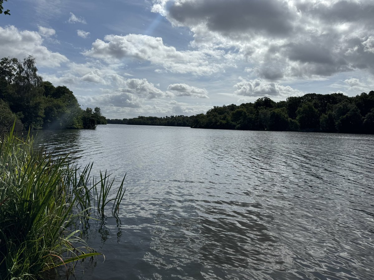 ✌🏻Amy Revell  ✌🏻 tweet media