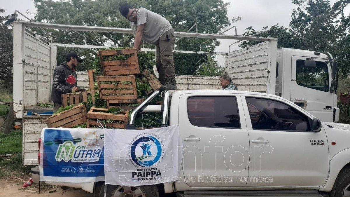 AgenforNoticias's tweet image. ➡  El Gobierno de Formosa adquirió productos frescos de familias de La Primavera para el Plan Nutrir  

 🌐 Nota completa: agenfor.com.ar/2024/08/el-gob…

#Agenfor #Nutrir #Paippa #Formosa