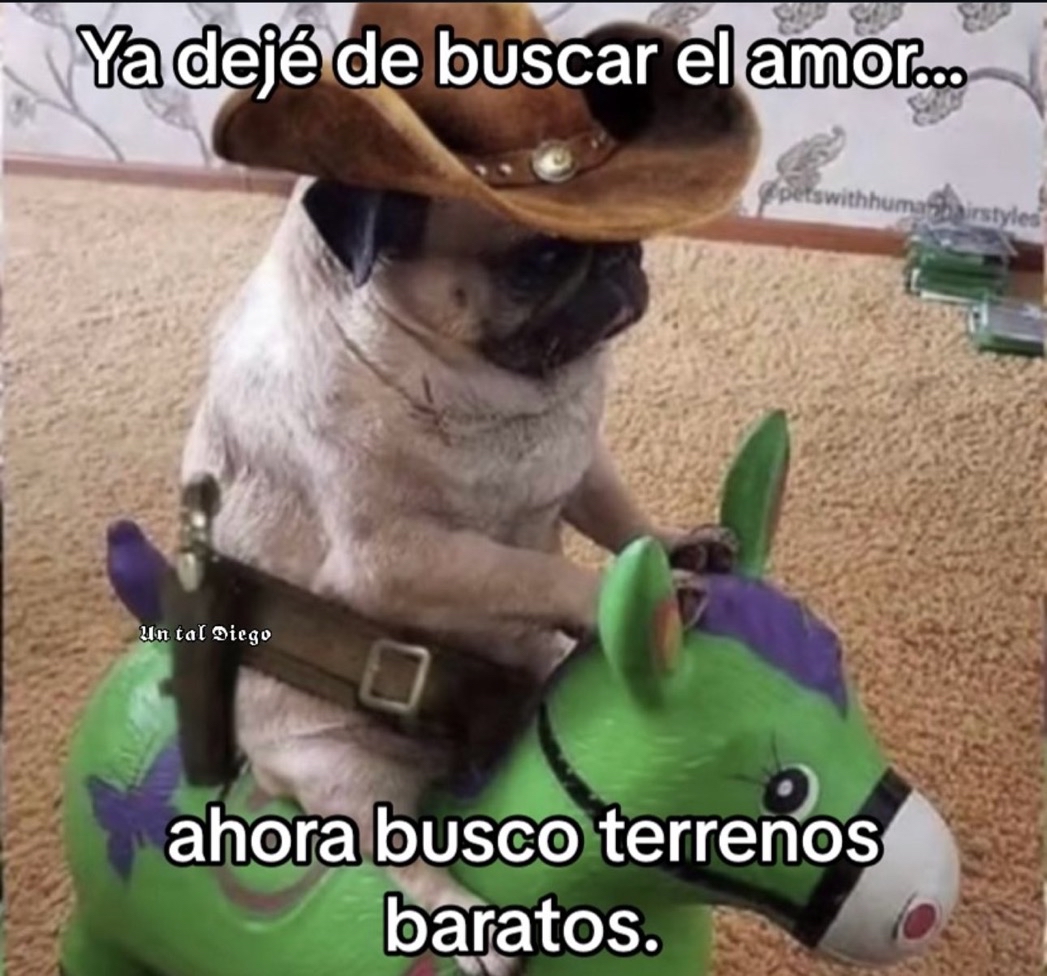 Guarromantico_'s tweet image. Está mejor.