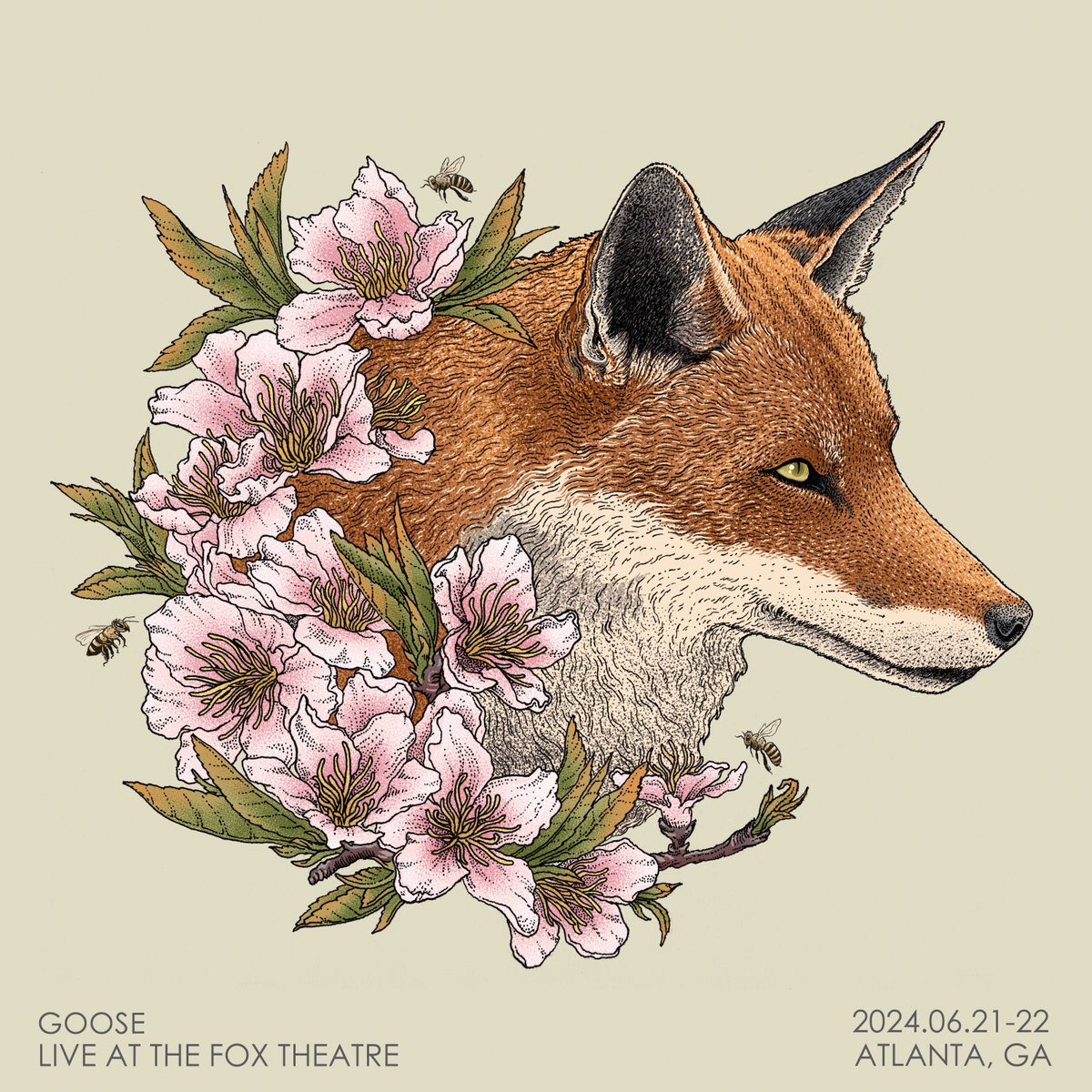 Live at The Fox Theatre is available on all streaming platforms! 🦊 Listen: lnk.to/goose-liveatth…