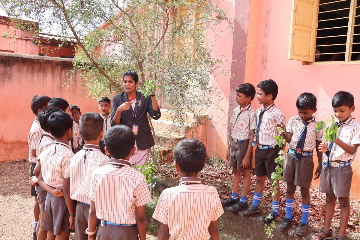 avm_school95's tweet image. Mrs. Julie conducted an engaging science activity on the &quot;Parts of a Tree,&quot; where students explored the various components of a tree and their functions. This hands-on learning experience helped students deepen their understanding of plant biology.

#AVMSchool #ScienceActivity