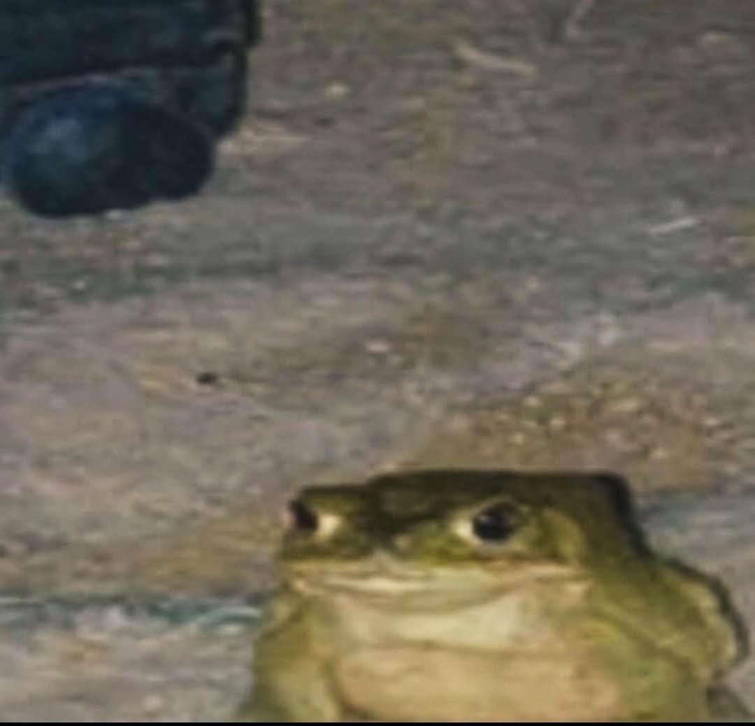 Olá gente querida, queria conversar com vocês e explicar PORQUE VOCÊ AI, tem que vir conhecer nossa campanha Pareia que tá em reta final no catarse, e o quanto isso ajuda nós, artistas independentes: