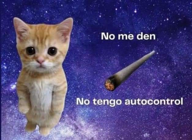 KushStation1's tweet image. 