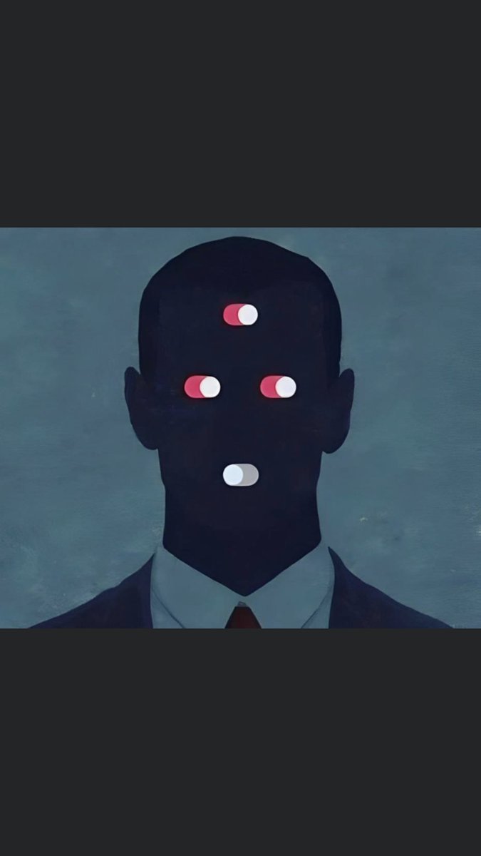 CiaoTimmyDimmi tweet media