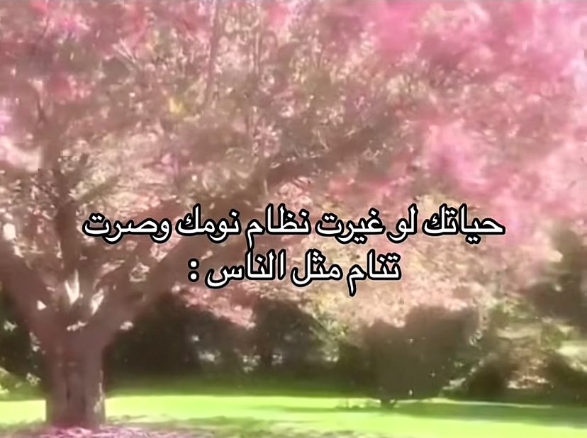 ٍ (@e_burw) on Twitter photo 