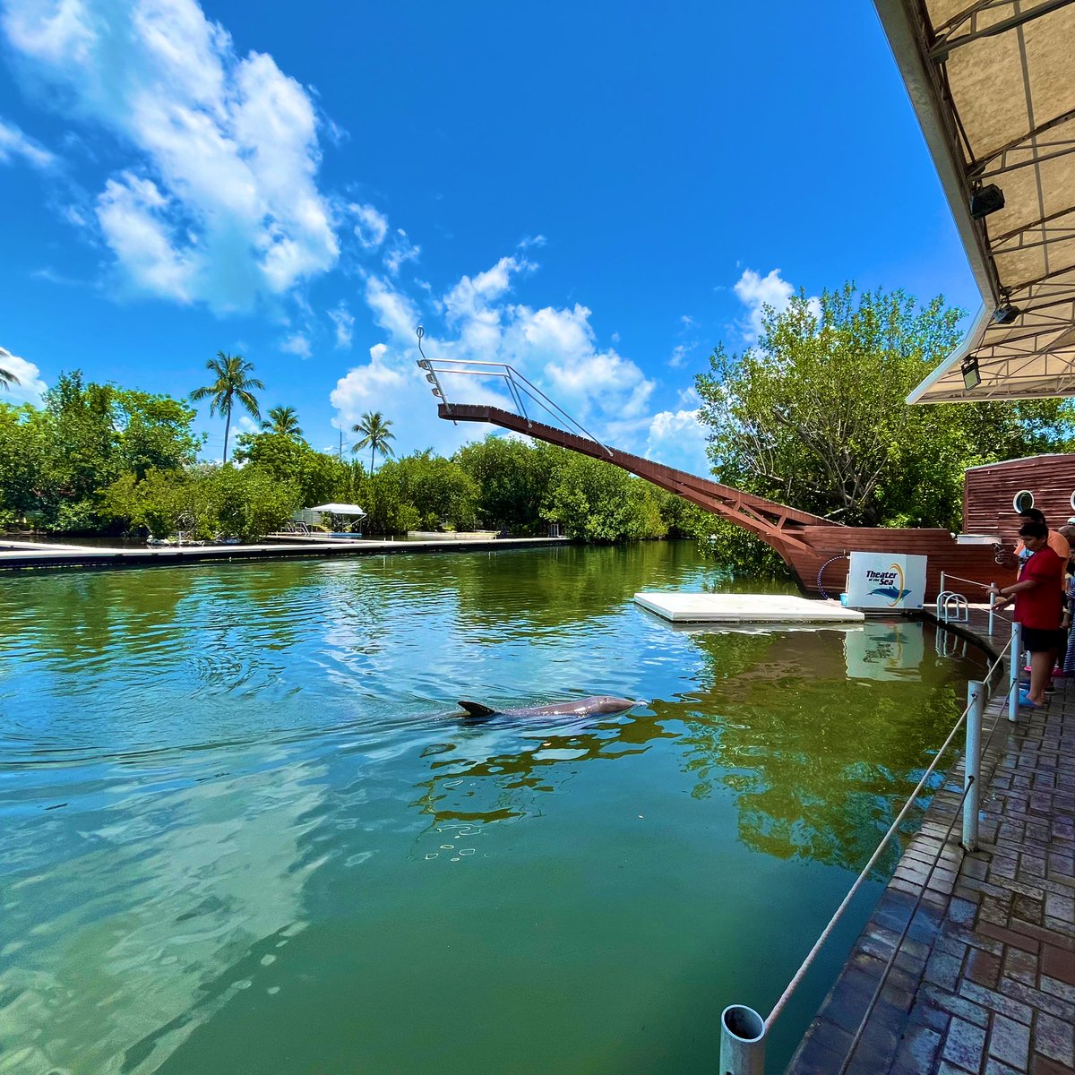 On site at Dag’s aquarium… the Theater of the Sea.