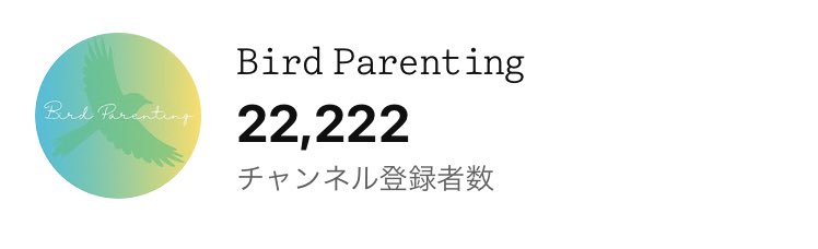 Bird_Parenting's tweet photo. Thank you for 22222 subscribers❤️ https://t.co/R3Af17Vsbd